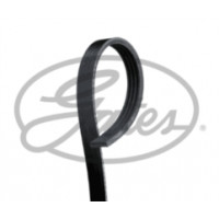 4PK885 - BGA 4PK885 - Drive Belt