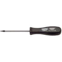 Draper Expert 19549 - Draper Expert 19549 - Draper TX-STAR® Mechanics Screwdriver (T6 x 75mm)