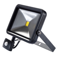 Draper 66038 - Draper 66038 - 1950 Lumen COB LED Slimline Wall Mounted Flood Lights with PIR Sensor (30W)