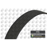 7PK1035 - BGA 7PK1035 - Drive Belt
