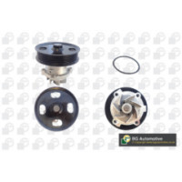CP3716 - BGA CP3716 - Water Pump