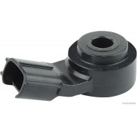 J5672000 - Herth + Buss J5672000 - Knock Sensor