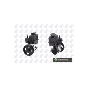 BGA Group PSP5655 - PAS Pump