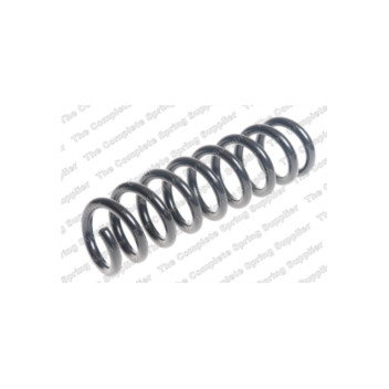 Neox SP7662 - Coil Spring (Rear)
