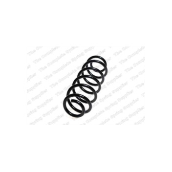 Neox SH6246 - Coil Spring (Rear)