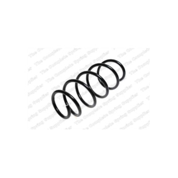 Neox SP6889 - Coil Spring (Front)
