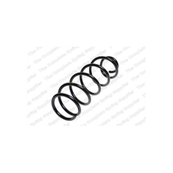 Neox SP8448 - Coil Spring (Rear)