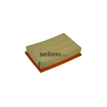 Purflux A1189 - Air Filter