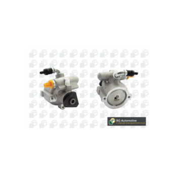 BGA Group PSP1500 - PAS Pump