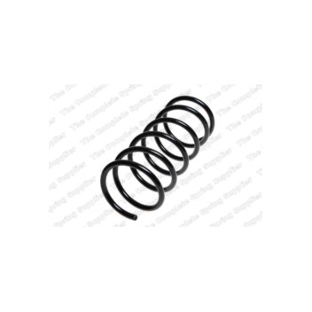 Neox SP8203 - Coil Spring (Front)