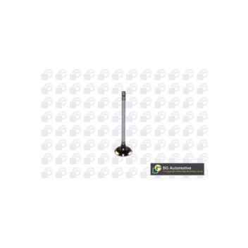 BGA Group V122041 - Inlet Valve
