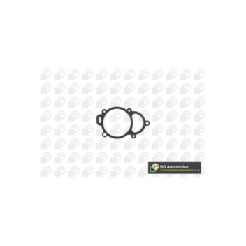 BGA Group AH0121 - Timing Case Gasket