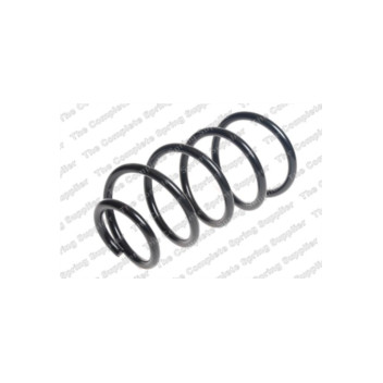 Neox SP8240 - Coil Spring (Front)