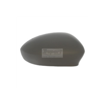 Trupart MC2554 - Mirror Cover (Right Hand)