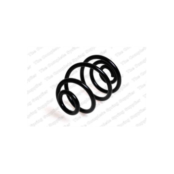 Neox SP8484 - Coil Spring (Rear)