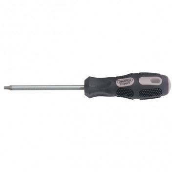 Draper Expert 40053 - Expert Draper TX-STAR® Driver T25 x 100mm Long