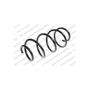 Neox SP6623 - Coil Spring (Front)