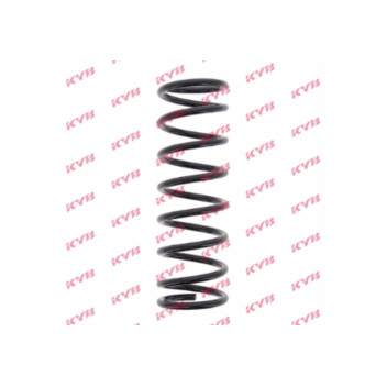 KYB RA5048 - Coil Spring (Rear)