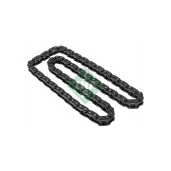 INA 553018110 - Timing Chain