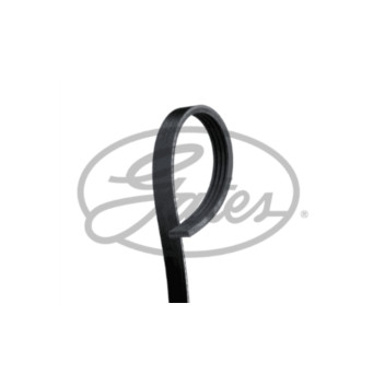 BGA Group 4PK885 - Drive Belt
