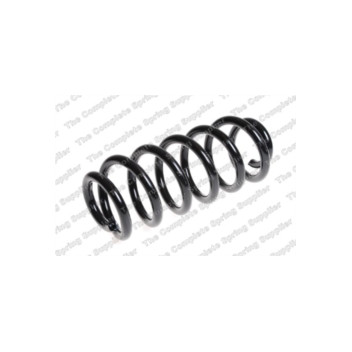 Neox SP7548 - Coil Spring (Front)