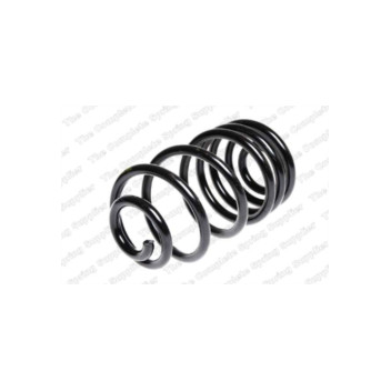 Neox SX6060 - Coil Spring (Rear)