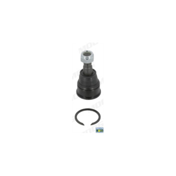 Moog HO-BJ-10556 - Ball Joint (Front Left Hand+Right Hand)