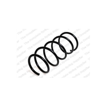 Neox SP9205 - Coil Spring (Front)