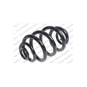 Neox SJ6353 - Coil Spring (Rear)