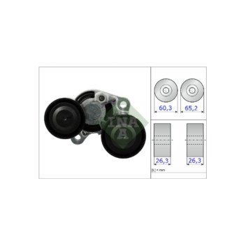 INA 534048210 - Tensioner Lever