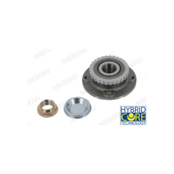 Moog PE-WB-11381 - Wheel Bearing Kit (Rear)