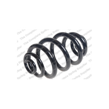 Neox SJ9009 - Coil Spring (Rear)