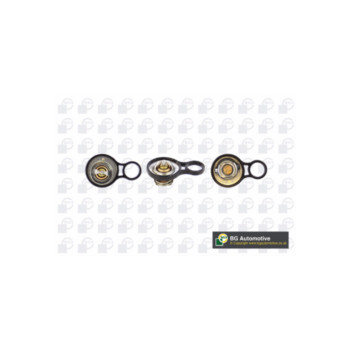 BGA Group CT0902 - Thermostat