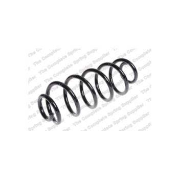 Neox SP6873 - Coil Spring (Rear)