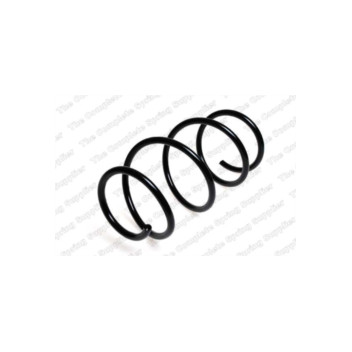 Neox SP7601 - Coil Spring (Front)