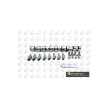 BGA Group CS1454FK - Camshaft Kit