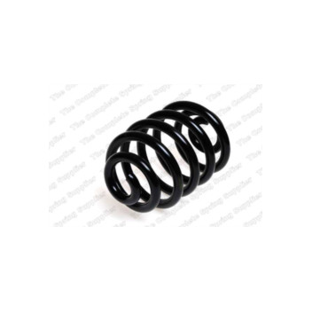 Neox SP7875 - Coil Spring (Rear)