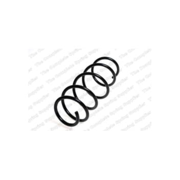 Neox SH6074 - Coil Spring (Front)
