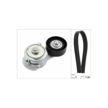 INA 529001310 - Drive Belt Kit