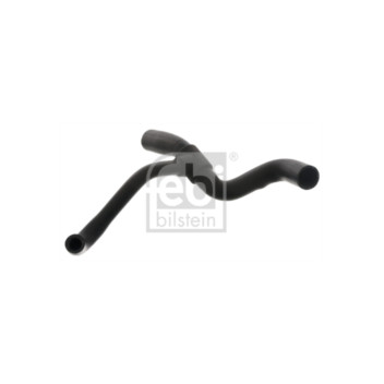 Febi 47755 - Hose (Lower Right Hand)