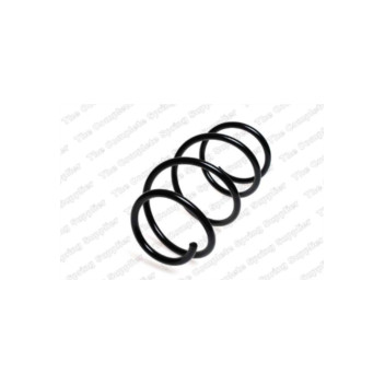 Neox SP7827 - Coil Spring (Front)
