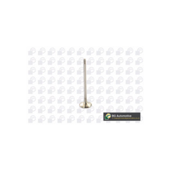 BGA Group V095110 - Exhaust Valve