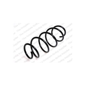 Neox SA6103 - Coil Spring (Front)