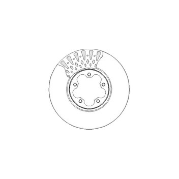 PPF DS7257 - Brake Disc (Front)