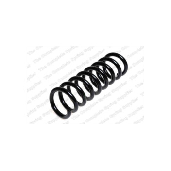 Neox SP6691 - Coil Spring (Rear)