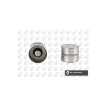  HL6309 - Cam Lifters