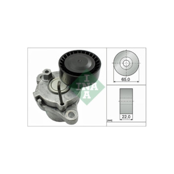 INA 534055010 - Tensioner Lever