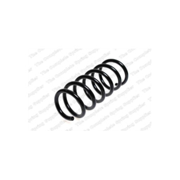 Neox SP7580 - Coil Spring (Front)