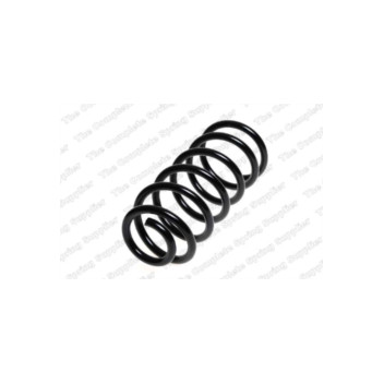 Neox SC6501 - Coil Spring (Rear)