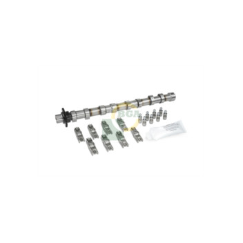BGA Group CS2327FK - Camshaft Kit